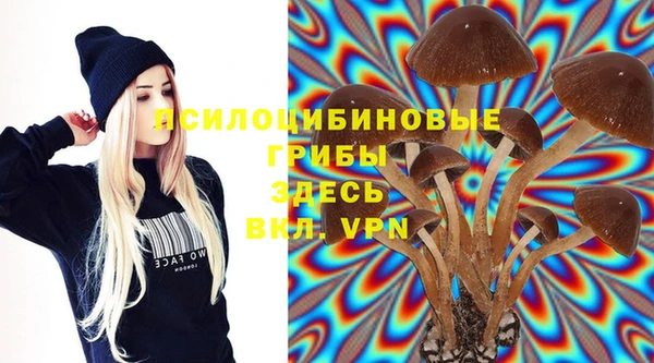 эйфоретик Алексеевка