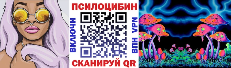 Псилоцибиновые грибы Psilocybe  MEGA зеркало  Вихоревка  дарнет шоп 