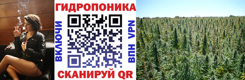 Каннабис планчик Вихоревка